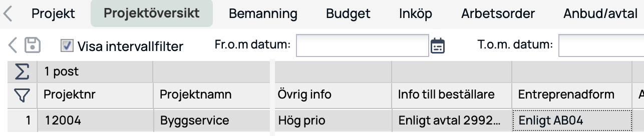 Projektöversikt med ett projekt listat i affärssystem