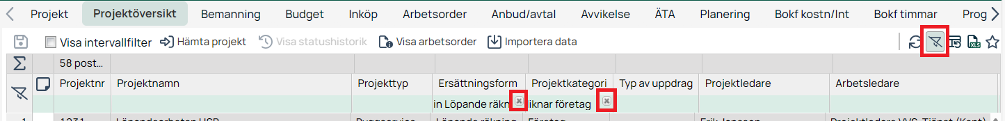 Projektöversikt med aktiva kolumnfilter markerade