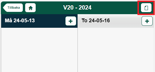 Veckoschema V20 2024 med två dagar visade