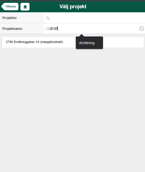 Project selection search dialog with name filter