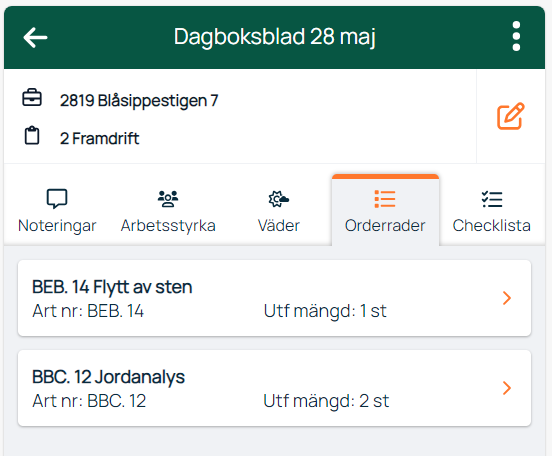 Dagboksblad med orderrader för ett projekt