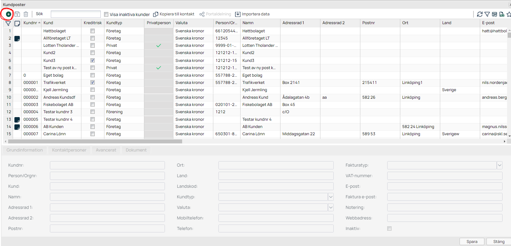 Customer Records list with detail form below