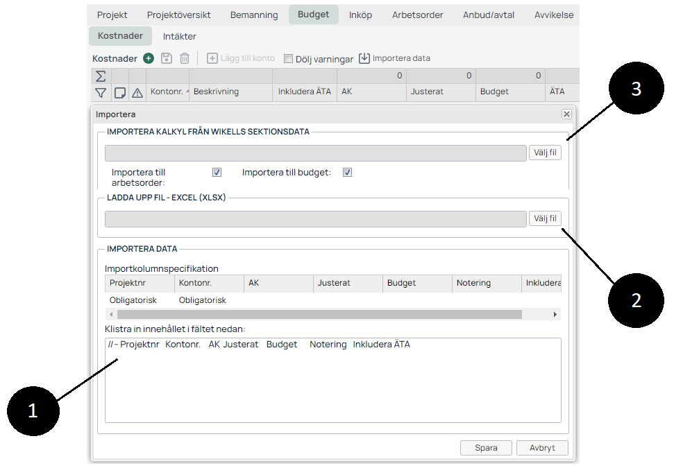 Projektbudget — Importera data dialog med flera importalternativ