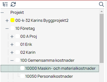 Projektstruktur med expanderad hierarki i affärssystem