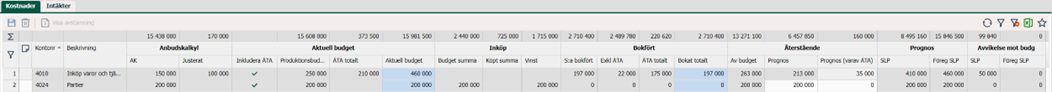 Budgetöversikt med kostnader och intäkter per konto
