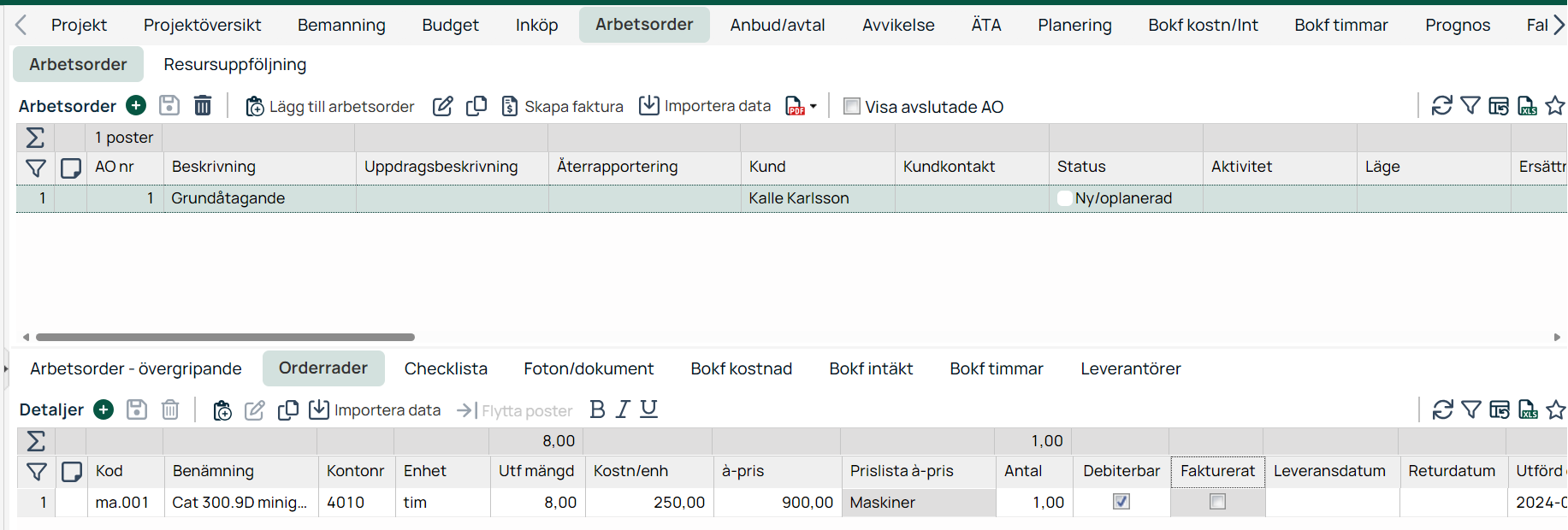 Arbetsorder med orderrader — projektmodul i affärssystem