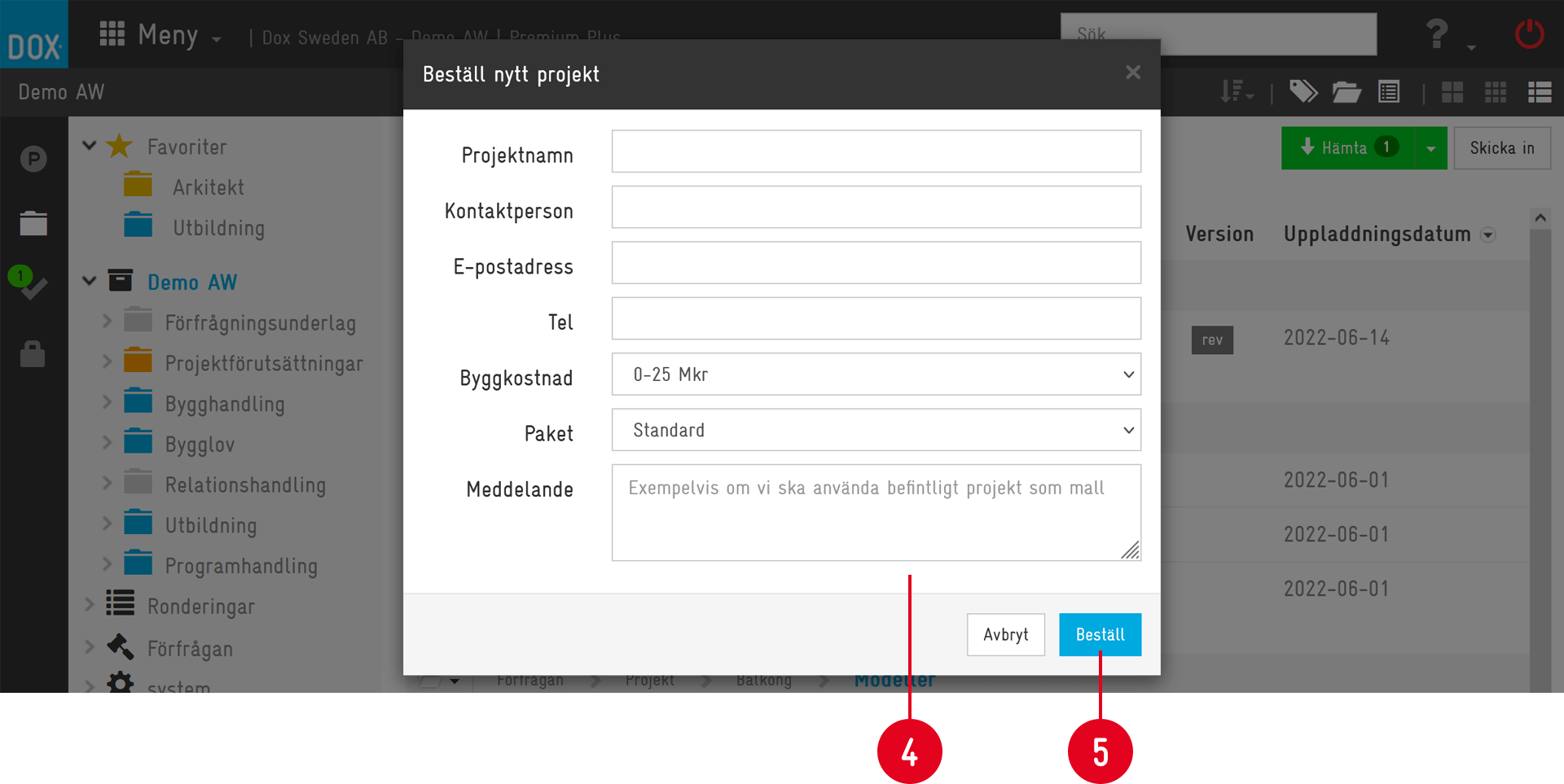 Aceve — Order New Project dialog