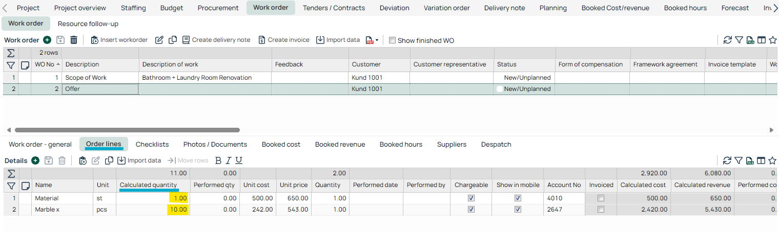 Work Order — Order Lines detail view