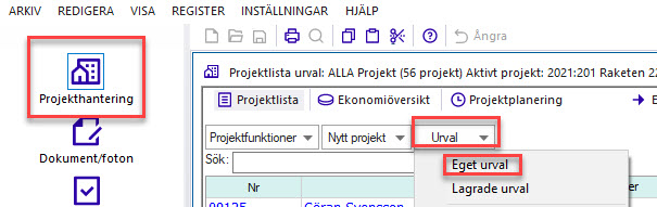 Projekthantering — Urval-meny med Eget urval markerat