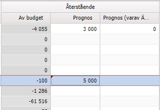Budgetöversikt — Återstående kolumner med prognos