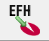 EFH økonomisystem-logo eller startskjerm